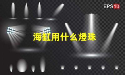 海缸用什么燈珠