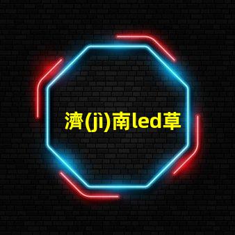 濟(jì)南led草帽燈珠