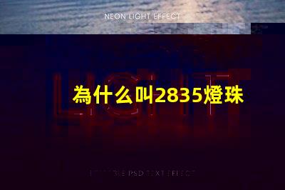 為什么叫2835燈珠