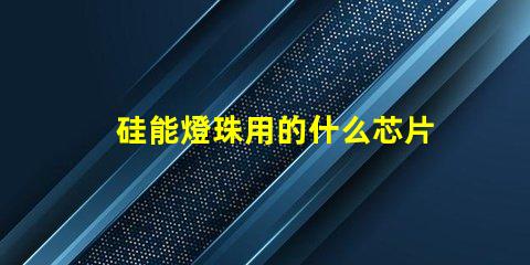 硅能燈珠用的什么芯片