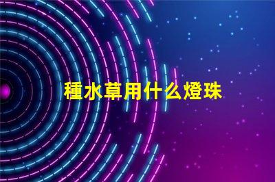 種水草用什么燈珠