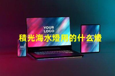 積光海水燈用的什么燈珠