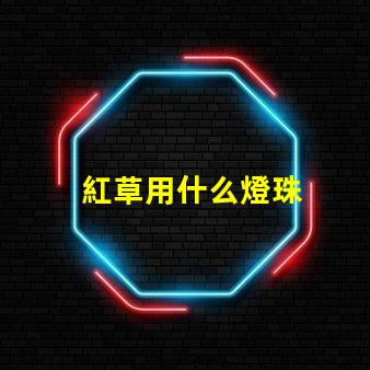 紅草用什么燈珠