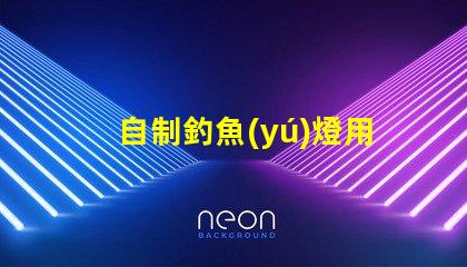 自制釣魚(yú)燈用什么燈珠好看