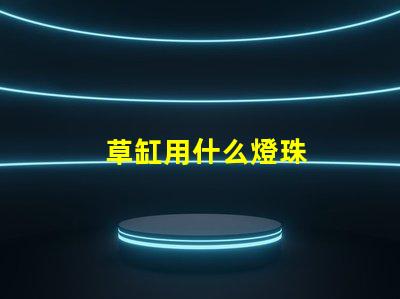 草缸用什么燈珠