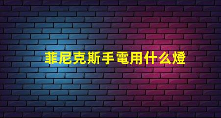 菲尼克斯手電用什么燈珠
