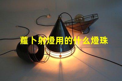 蘿卜射燈用的什么燈珠