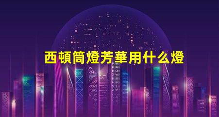 西頓筒燈芳華用什么燈珠