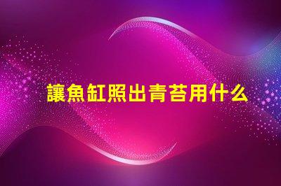 讓魚缸照出青苔用什么燈珠
