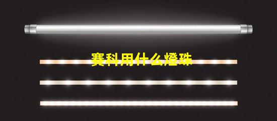 賽科用什么燈珠