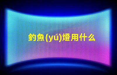 釣魚(yú)燈用什么燈珠最好