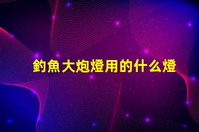 釣魚大炮燈用的什么燈珠