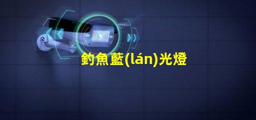 釣魚藍(lán)光燈用什么型號燈珠