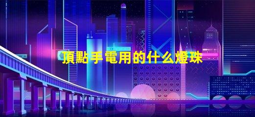 頂點手電用的什么燈珠