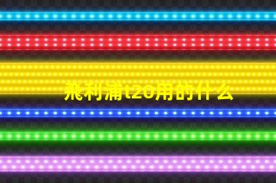 飛利浦t20用的什么燈珠