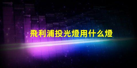 飛利浦投光燈用什么燈珠