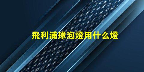 飛利浦球泡燈用什么燈珠