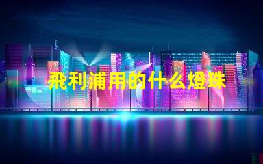 飛利浦用的什么燈珠