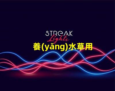 養(yǎng)水草用什么LED燈珠