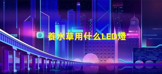 養水草用什么LED燈珠