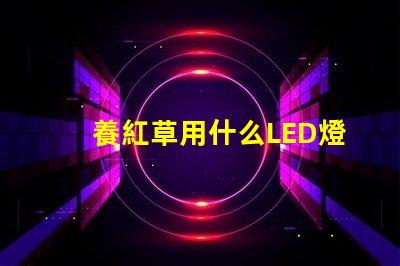 養紅草用什么LED燈珠