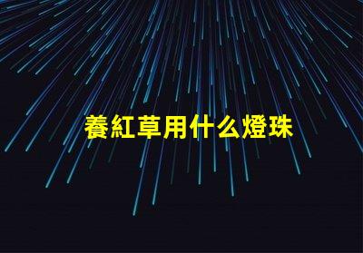 養紅草用什么燈珠