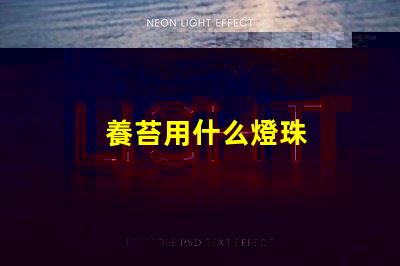 養苔用什么燈珠