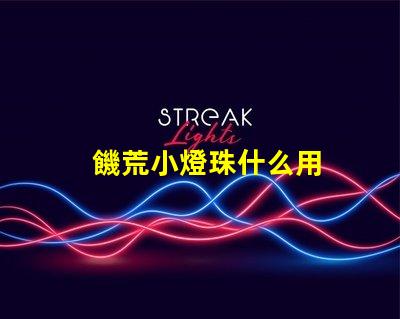 饑荒小燈珠什么用
