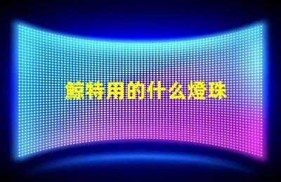 鯨特用的什么燈珠