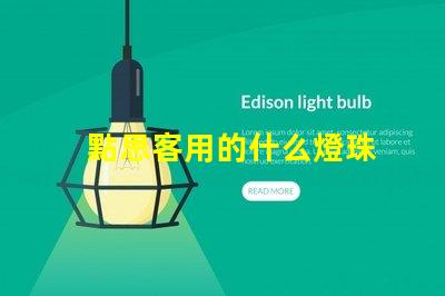 點思客用的什么燈珠